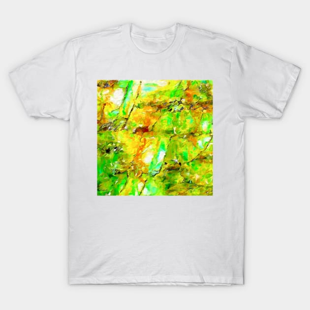 Jade and Amber Abstract T-Shirt by DANAROPER